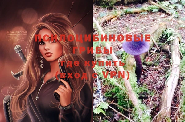 мдпв Приозерск