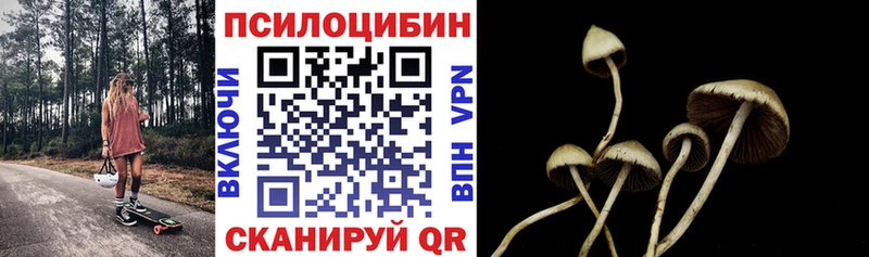 Купить где  Черепаново  Галлюциногенные грибы Psilocybe 